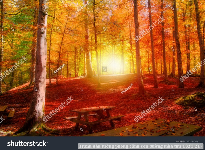 Tranh dán tường phong cảnh con đường mùa thu T321-217